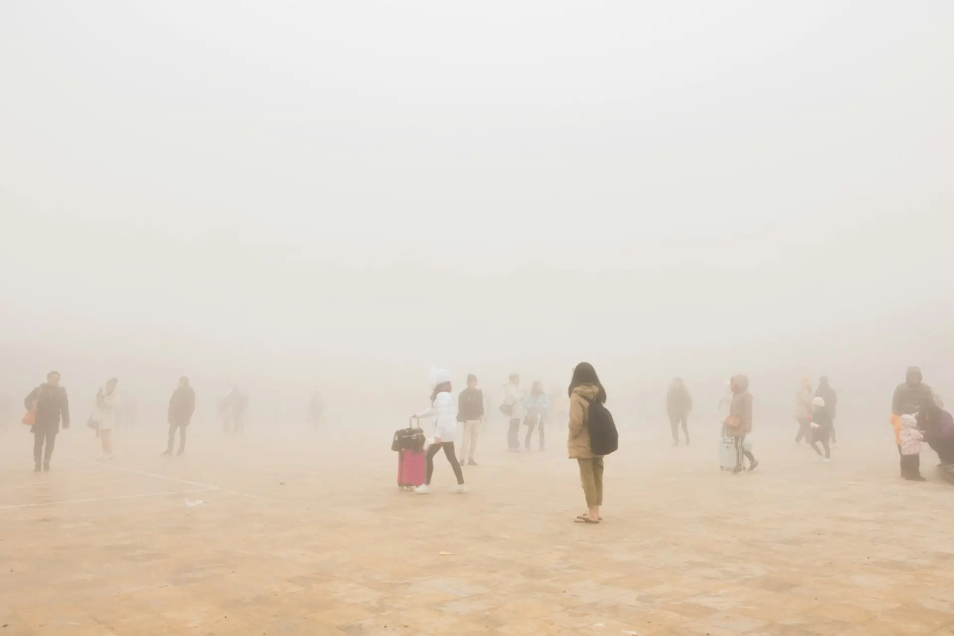 Cover image for Complete Carbon Visibility