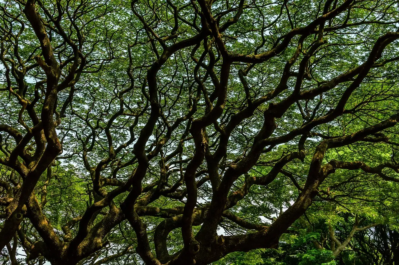 Cover image for LEIGov